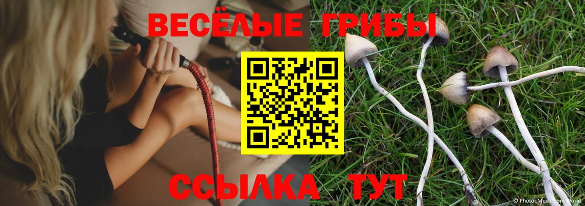 Псилоцибиновые грибы прущие грибы Кингисепп