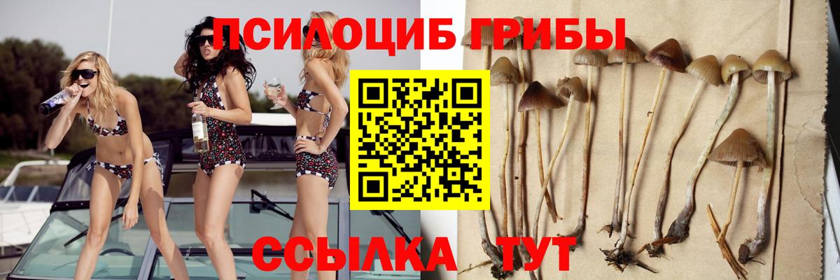 Галлюциногенные грибы мухоморы  Псилоцибиновые грибы GOLDEN TEACHER  Вход с VPN  Кингисепп 