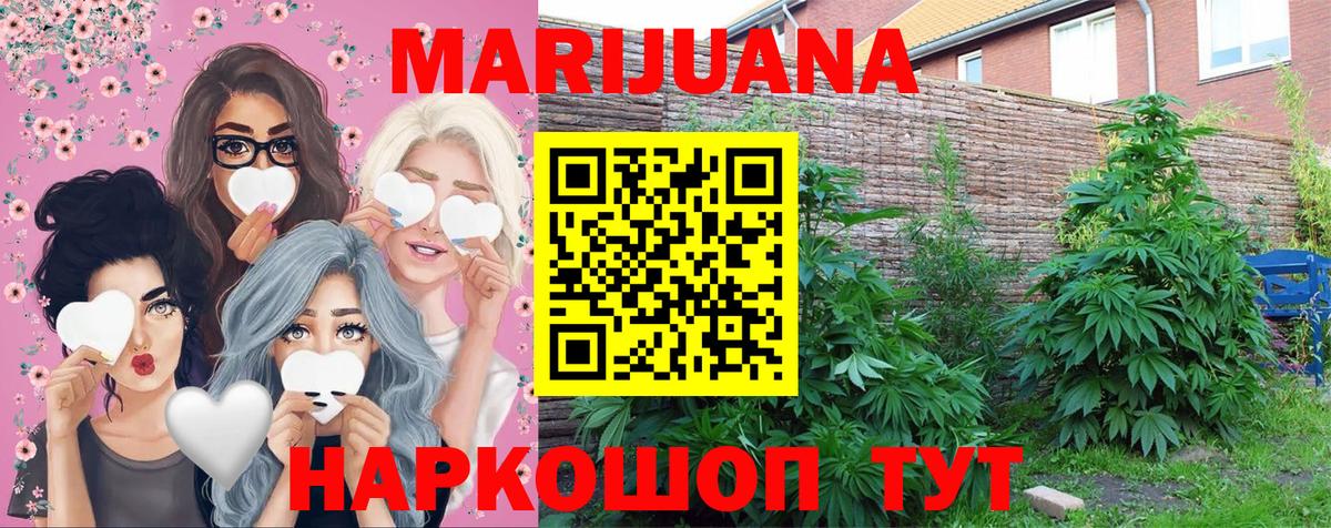Бошки Шишки VHQ Кингисепп