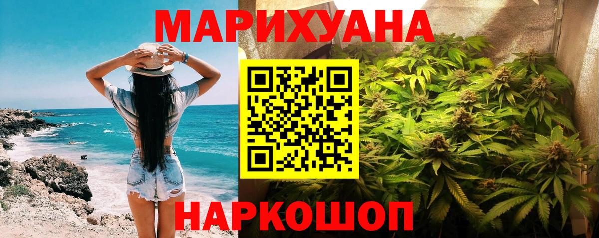 Каннабис гибрид  Вход с VPN  МАРИХУАНА планчик  Бошки марихуана сатива  Кингисепп 